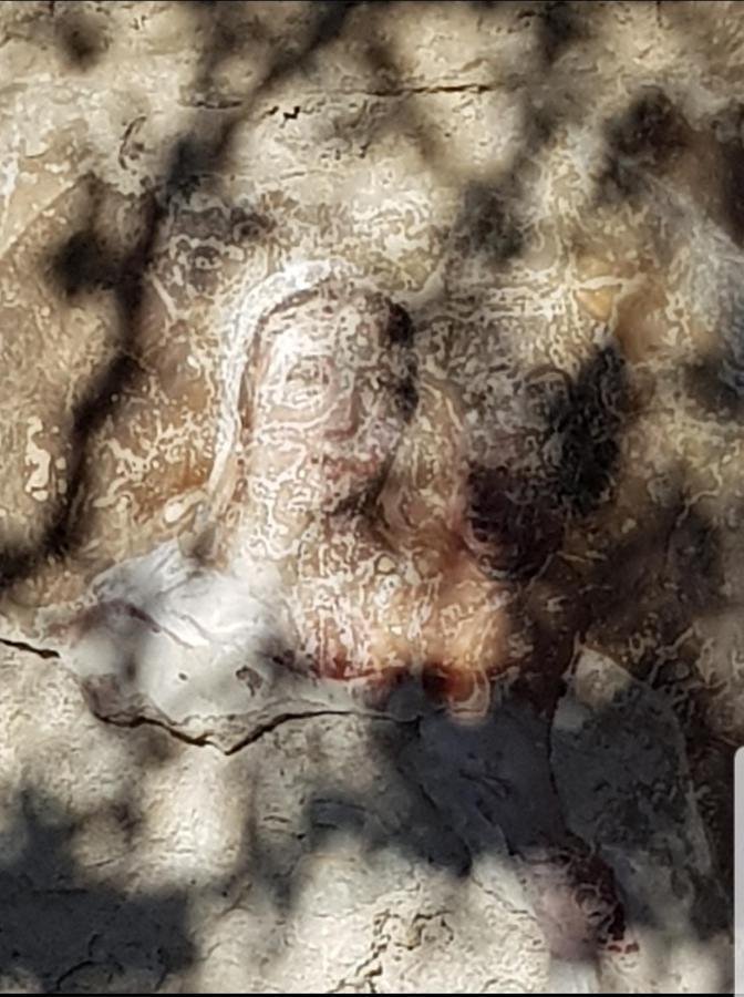 Chambre D'Hote Geiko Cabrieres-d'Aigues Εξωτερικό φωτογραφία